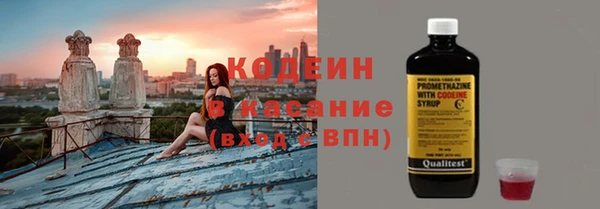 ГАЛЛЮЦИНОГЕННЫЕ ГРИБЫ Семёнов