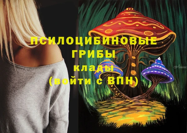 ешки Губаха