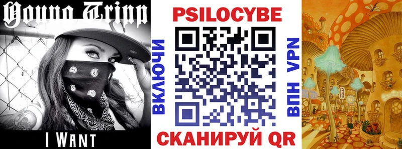 наркота  Биробиджан  Псилоцибиновые грибы Magic Shrooms 